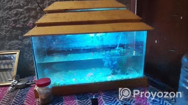 Aquarium for sale