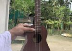 ইউকুলেলে ২১