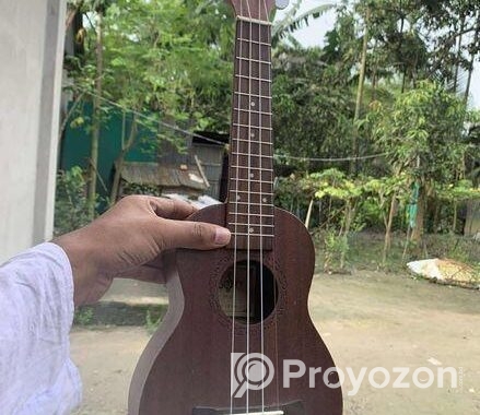 ইউকুলেলে ২১
