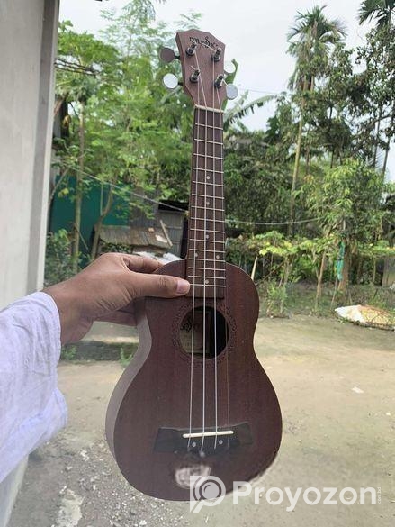 ইউকুলেলে ২১