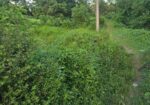 ঢাকা চট্টগ্রাম হাইওয়ের সাথে জায়গা বিক্রি