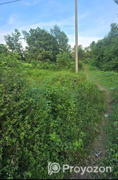 ঢাকা চট্টগ্রাম হাইওয়ের সাথে জায়গা বিক্রি