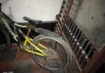 Phoenix non gear