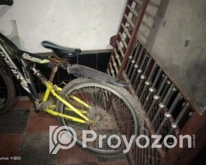 fitted-16_2025-09-29_11-45-34