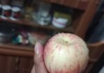 Apple for sell