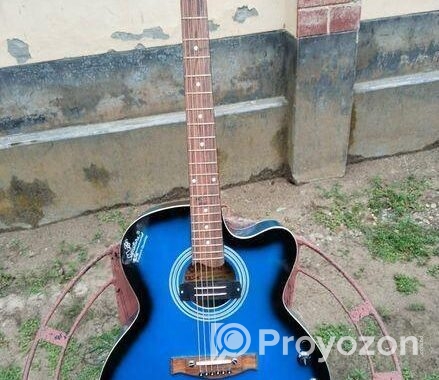 Signature Guitar