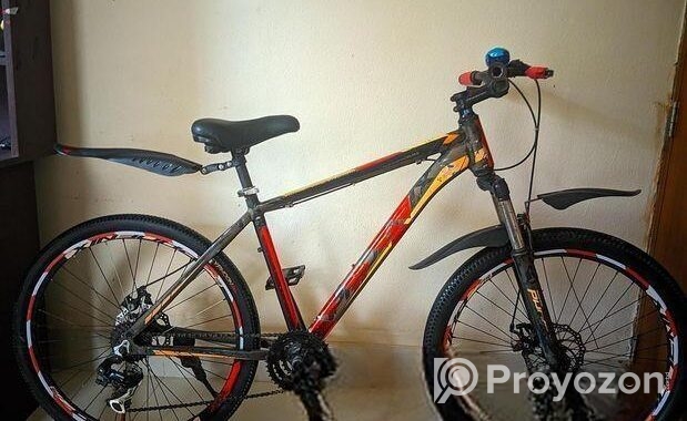 Phoenix Bicycle for sale