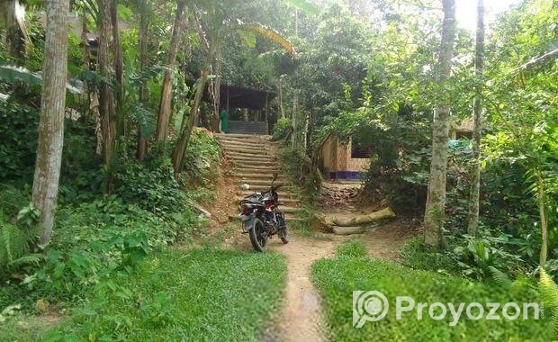 বাড়ি সহ জমি বিক্রি হবে