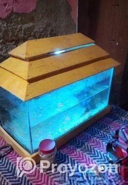 Aquarium for sale
