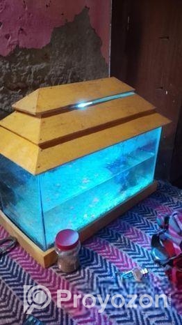 Aquarium for sale