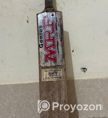 Cricket Bat