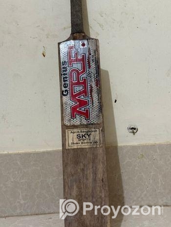 Cricket Bat