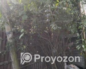 fitted-17_2025-09-21_09-58-24