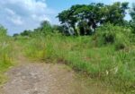 এখনই বাড়ি করার উপযোগী জমি বিক্রয়