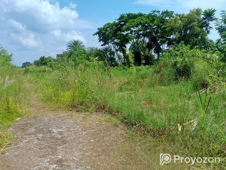 এখনই বাড়ি করার উপযোগী জমি বিক্রয়