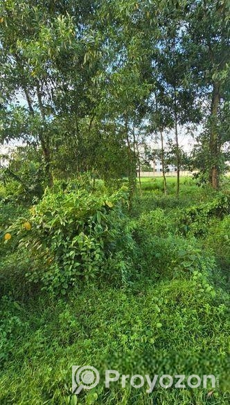 ঢাকা চট্টগ্রাম হাইওয়ের সাথে জায়গা বিক্রি