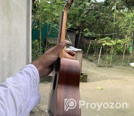 ইউকুলেলে ২১