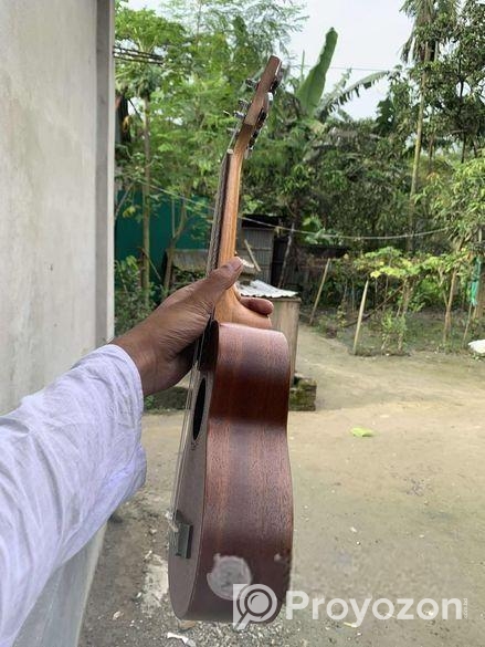 ইউকুলেলে ২১