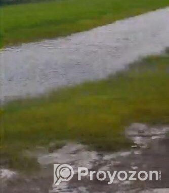 বাড়ির জন্য রাস্তার পাশে