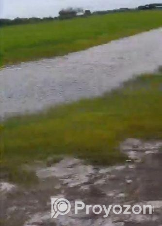 বাড়ির জন্য রাস্তার পাশে