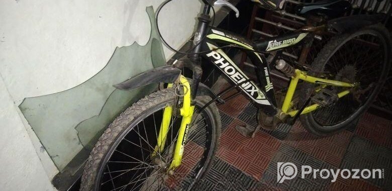 Phoenix non gear