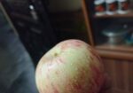Apple for sell