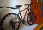 Phoenix Bicycle for sale