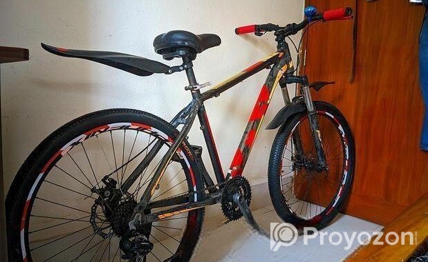 Phoenix Bicycle for sale