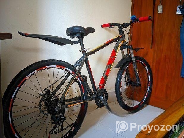Phoenix Bicycle for sale