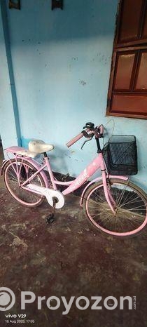 লেডিস বাইসাইকেল