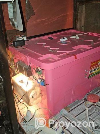 ২০০ কোয়েল এর ডিমের ফুল অটোমেটিক ইনকিউবেটর