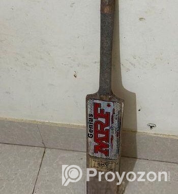 Cricket Bat