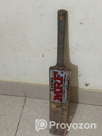 Cricket Bat
