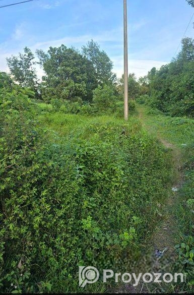 ঢাকা চট্টগ্রাম হাইওয়ের সাথে জায়গা বিক্রি