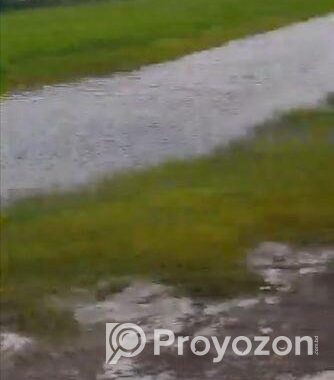 বাড়ির জন্য রাস্তার পাশে