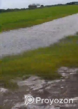 বাড়ির জন্য রাস্তার পাশে