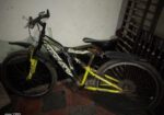 Phoenix non gear