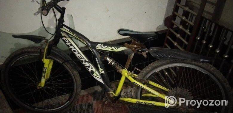 Phoenix non gear