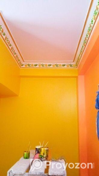 প্রফেশনাল এক্সপার্ট পেইন্টার