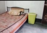 রংপুর সিটিতে বাসাসহ জায়গা বিক্রি