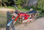 Yamaha CDI 2000