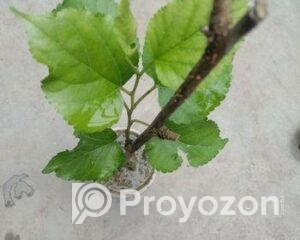 fitted-19_2025-09-21_09-59-18