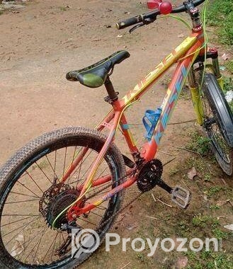 Bicycle for sale