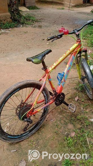Bicycle for sale