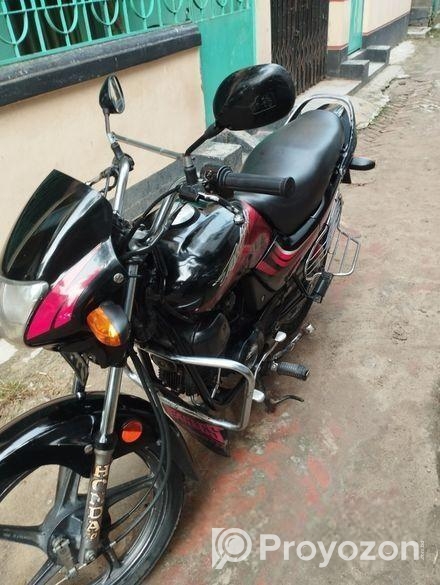 Hero Passion Pro . 2008