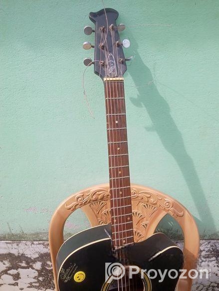 গিটার বিক্রি