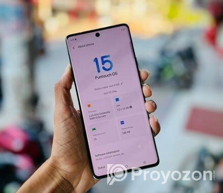 Vivo X100 12/256GB (Used)