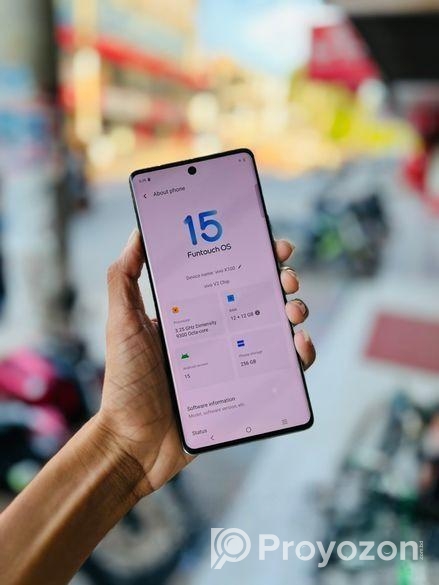 Vivo X100 12/256GB (Used)