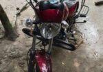 Pegasus Fabio 125cc . 2022