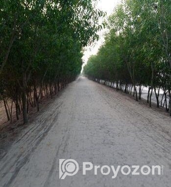 জমি বিক্রি